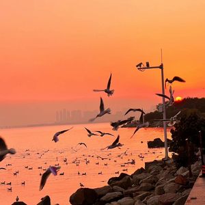 Z〇ZOZ○女人Z〇Zo挤奶大叫
